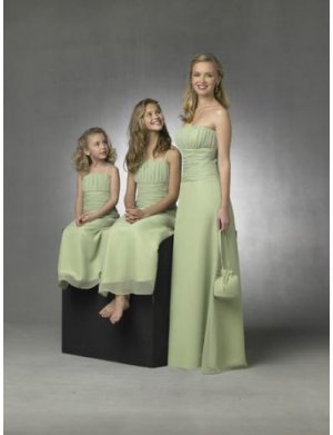 Column/Sheath Strapless Floor Length Chiffon Bridesmaid Dresses for brides new style(BD0269)
