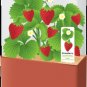 Grow Your Own Strawberries--PW-0112 --10 points