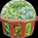 Grow Your Own! Dieters Delight--WB-0026