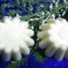 Lavender Vanilla Soy Tart Melts
