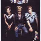 The Stray Cats (Band) FULLY SIGNED 8" x 10" Photo + Certificate Of Authentication 100% Genuine
