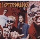 The Offspring (Band) Dexter Noodles SIGNED  Photo + Certificate Of Authentication  100% Genuine