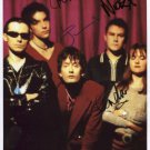 Pulp (Band) Jarvis Cocker + 4 Others SIGNED Photo + Certificate Of Authentication 100% Genuine
