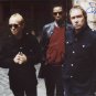 Ocean Colour Scene SIGNED Photo + Certificate Of Authentication  100% Genuine