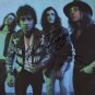 Greta Van Fleet SIGNED Photo + Certificate Of Authentication  100% Genuine
