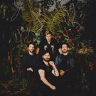 The Foals Band Yannis  SIGNED Photo + Certificate Of Authentication  100% Genuine