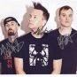 Blink 182 (Band) FULLY SIGNED 8 x 10 Photo + Certificate Of Authentication  100% Genuine