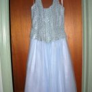 Size 9/10 Beautiful Cindarella Prom gown - worn once (of course!)
