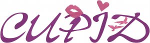 Cupid Fonts Embroidery Designs CD 4x4 Font Free S&H