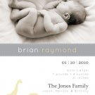 Modern Giraffe and Elephant Design - Custom Printable Baby Boy Birth Announcement