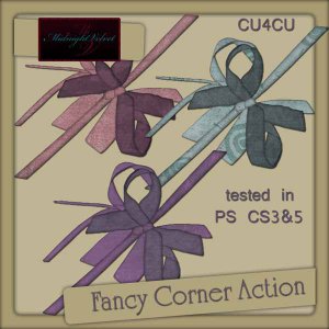 Fancy Corner Wrap PS Action