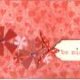 Holiday Cards