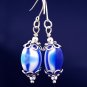 Handmade Lamp work Earrings with Bali Beads (Fallz)