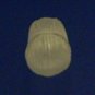 25th Beachhead Casted Head: