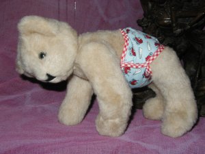 Vermont Teddy Bear , 1995