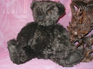 Vermont  big dark brown Bear