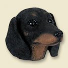 Dachshund, Black Magnet