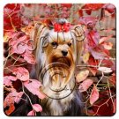 Yorkshire Terrier Coasters