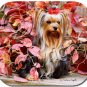 Yorkshire Terrier Mouse Pad