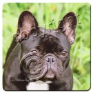 BAC73 French Bulldog Coasters