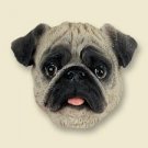 DM18A Pug, Fawn Magnet