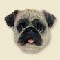 DM18A Pug, Fawn Magnet