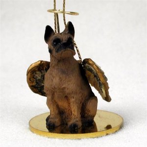 DTA33B Boxer, Tawny Angel