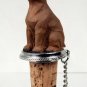 DTB33B Boxer, Tawny Bottle Stopper