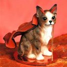 DTD06C Chihuahua, Brindle & White Devil