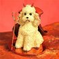 DTD104C Poodle, Apricot, Sport cut Devil