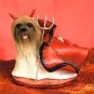 DTD10B Lhasa Apso, Brown Devil