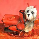 DTD120 Dandie Dinmont Devil