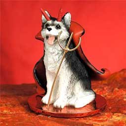 DTD17B Husky, Black & White, Brown Eyes Devil