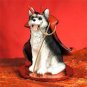 DTD17B Husky, Black & White, Brown Eyes Devil