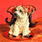 DTD40C Shar Pei, Cream Devil