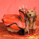 DTD60A Dachshund, Longhaired, Red Devil