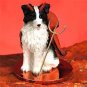 DTD62 Border Collie Devil