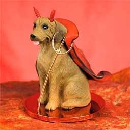 DTD78 Rhodesian Ridgeback  Devil