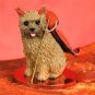 DTD79 Norwich Terrier Devil