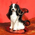 DTD80B Cavalier King Charles, Black & White Devil
