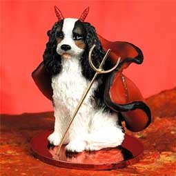 DTD80B Cavalier King Charles, Black & White Devil