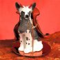 DTD81 Chinese Crested Dog Devil