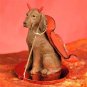 DTD97 Vizsla Devil