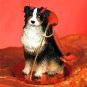 DTD99E Australian Shepherd Tricolor Devil