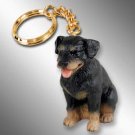DTK11 Rottweiler  Keychain