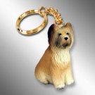 DTK126 Briard Keychain
