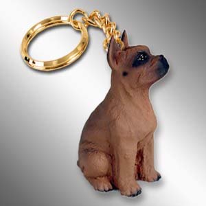 DTK33B Boxer, Tawny Keychain