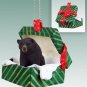 GGBA02 Black Bear  Green Gift Box Ornament