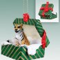 GGBA11A Tiger Green Gift Box Ornament