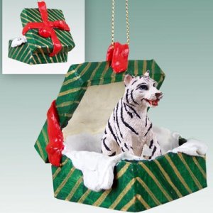 GGBA11B Tiger, White Green Gift Box Ornament